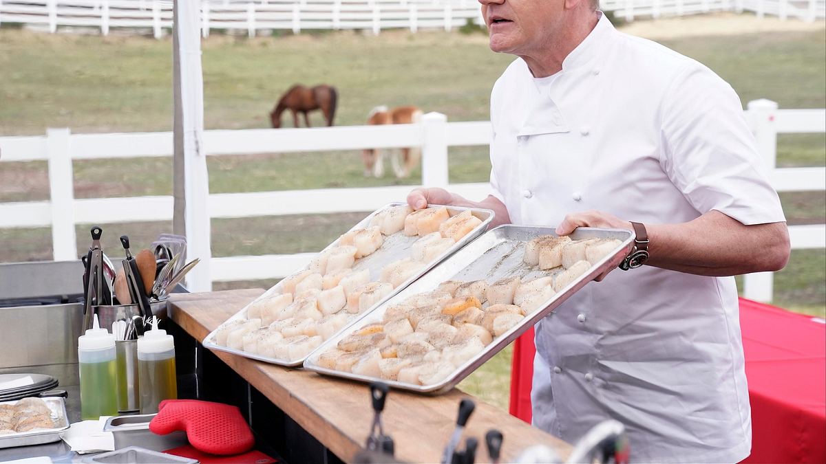 masterchef usa