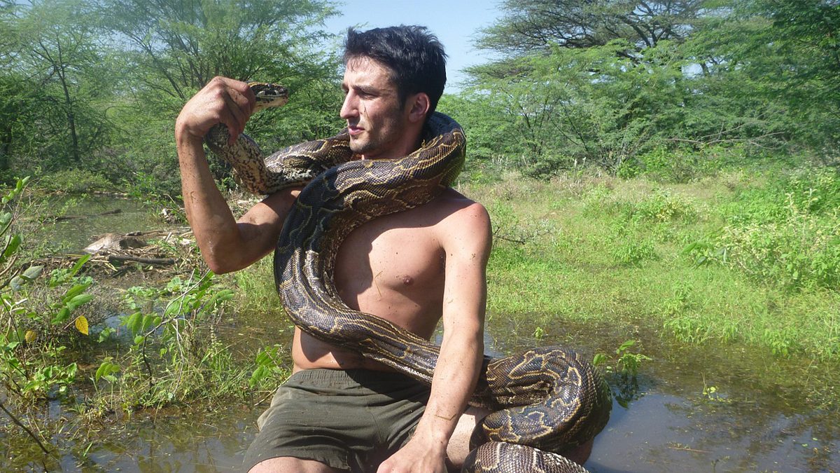 andrew ucles - born to be wild