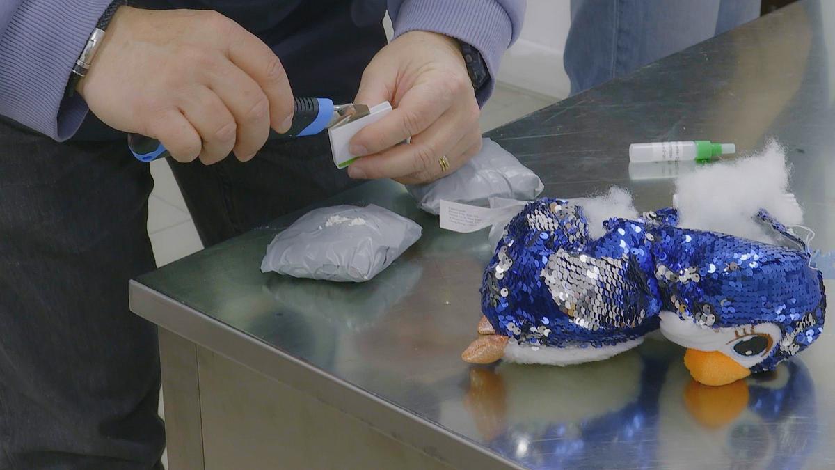 airport security: rom