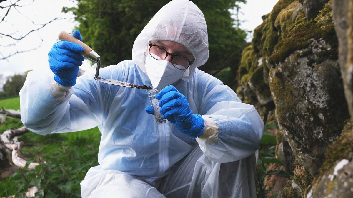 expert witness - forensiker auf spurensuche