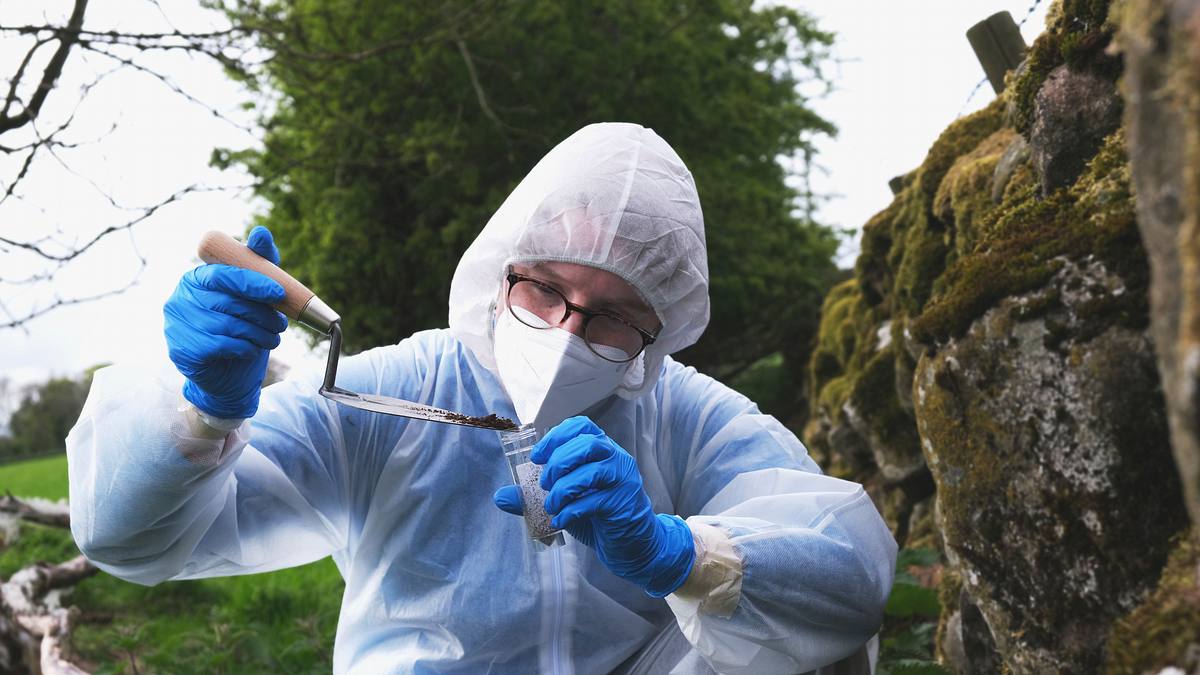 expert witness - forensiker auf spurensuche