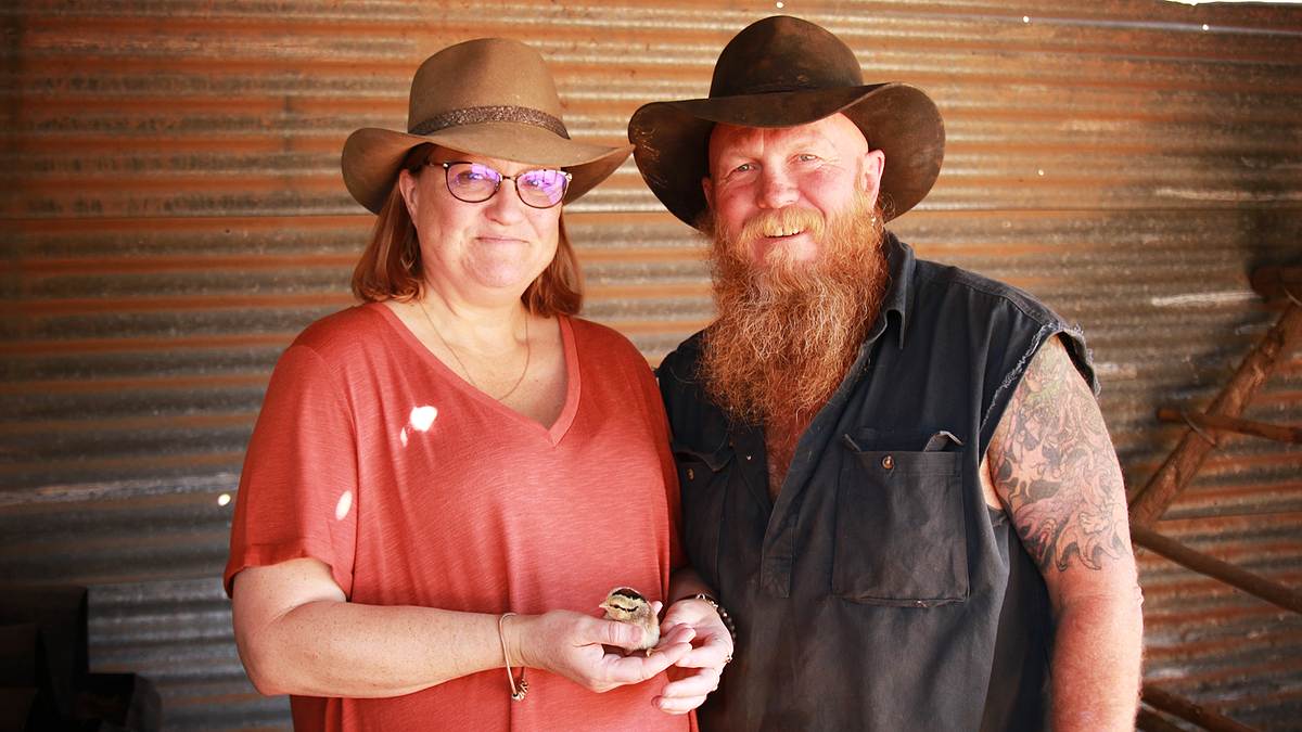 outback opal hunters - edelsteinjagd in australien