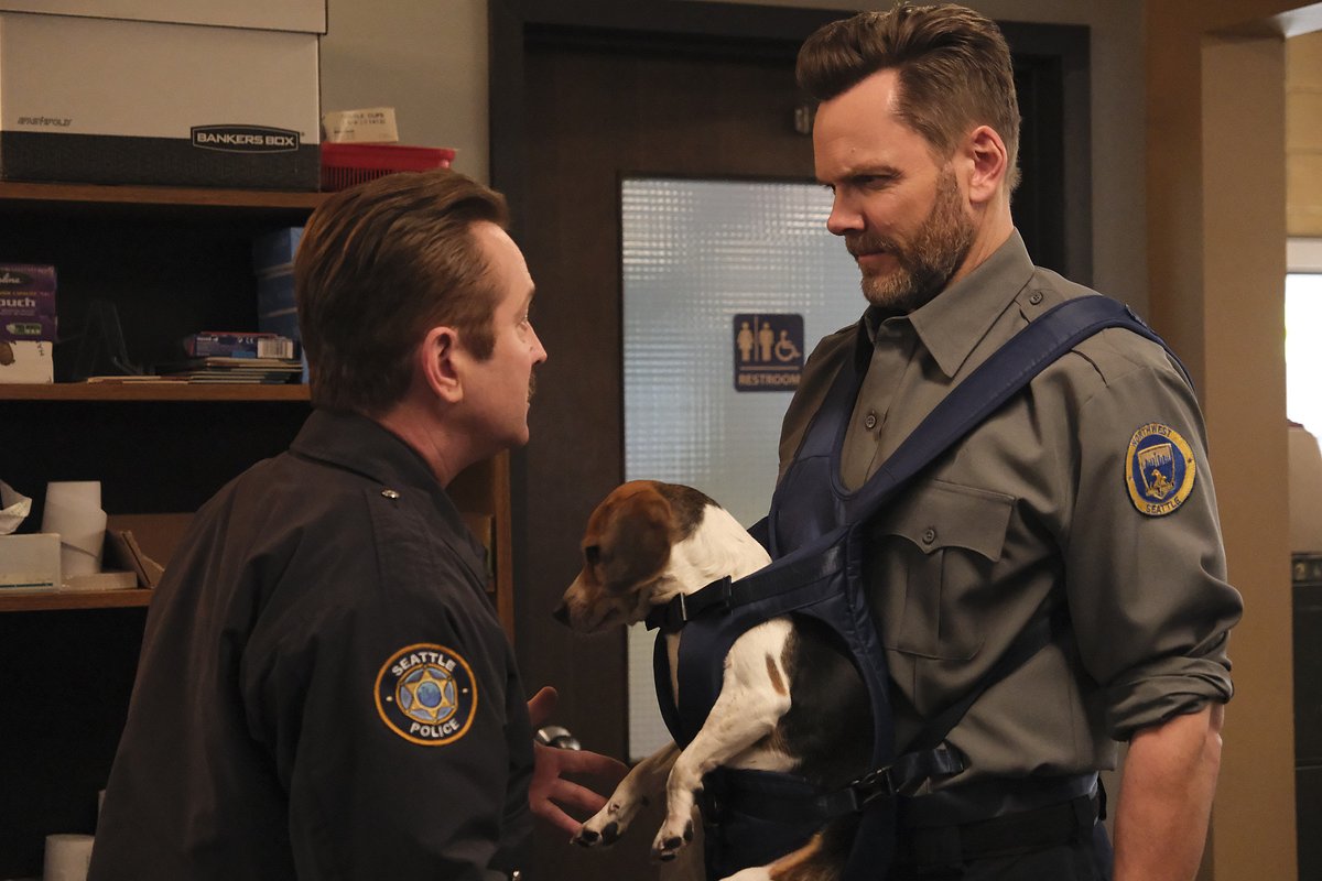 animal control