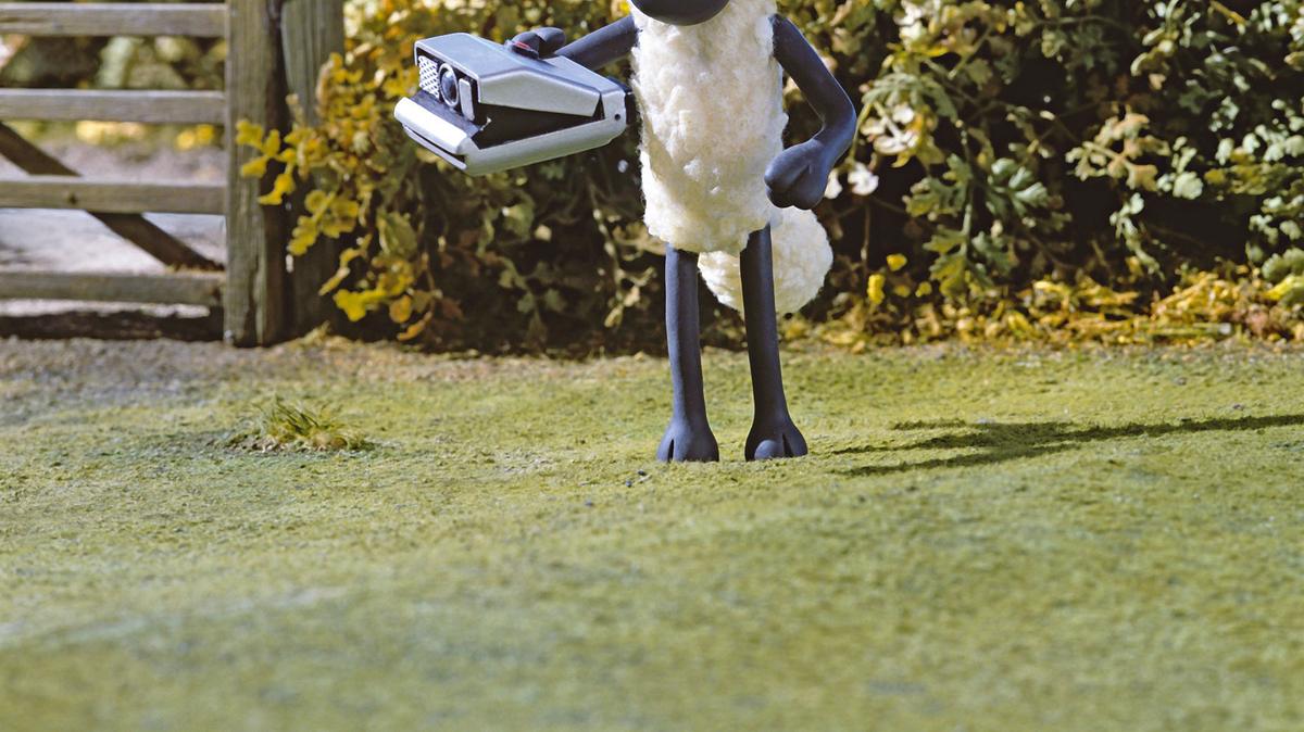 shaun das schaf