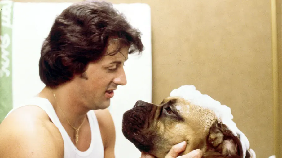 Rocky II - Die Revanche rocky ii - die revanche