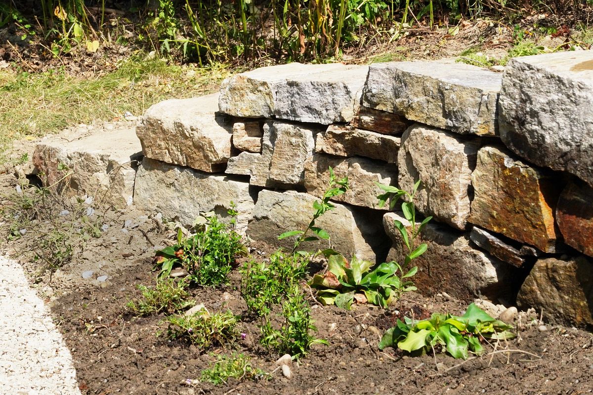 natur im garten