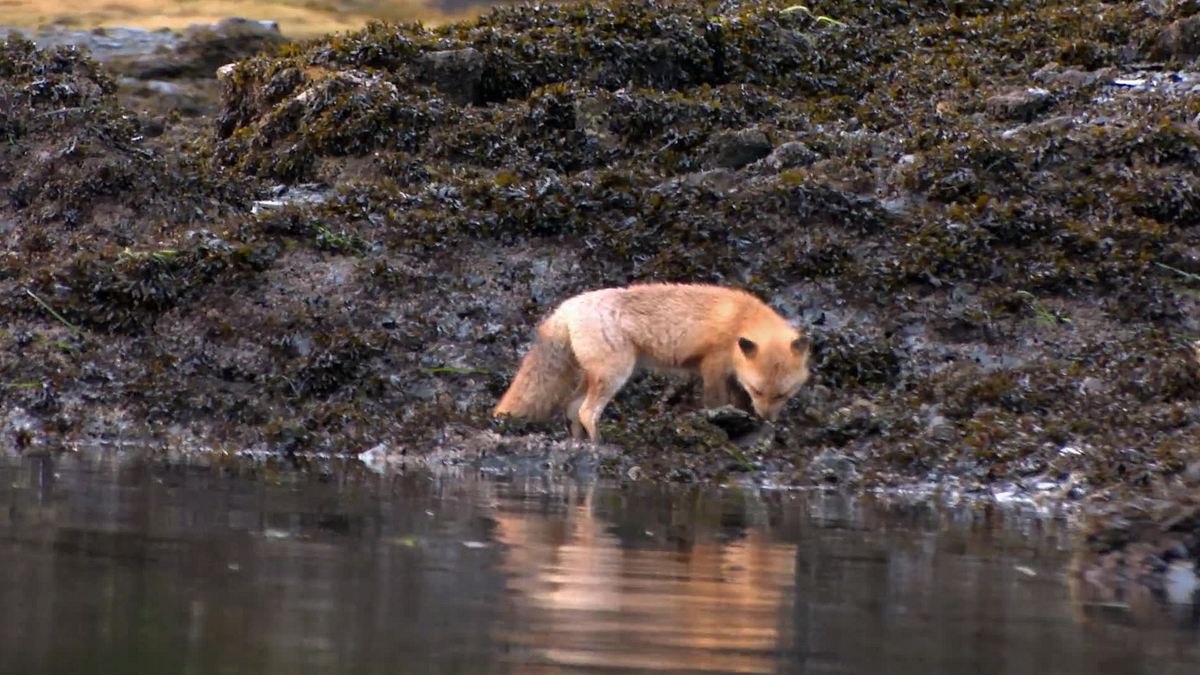 alaska extrem