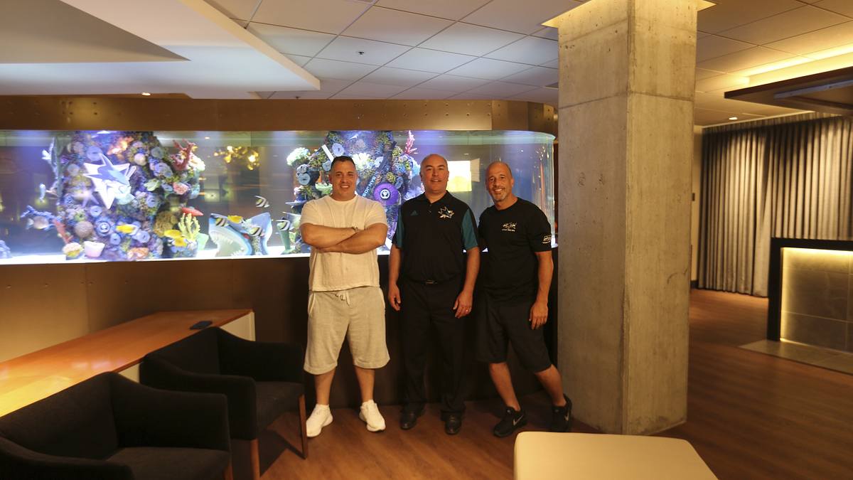 Die Aquarium-Profis die aquarium-profis