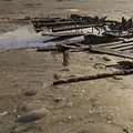 Enthüllt: Geheimnisse der Meere Thumbnail