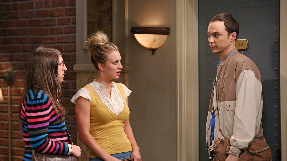 the big bang theory