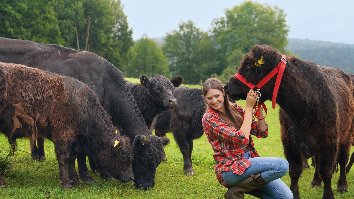 lust aufs land - bayerische hofgeschichten