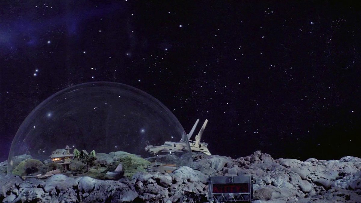 Galaxina galaxina