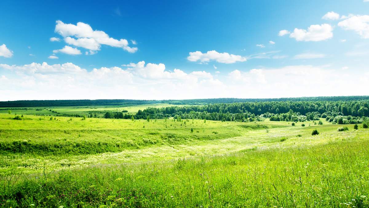sommerwelten