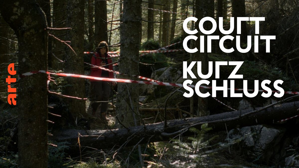 Kurzschluss kurzschluss