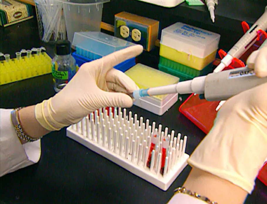 Medical Detectives - Geheimnisse der Gerichtsmedizin medical detectives - geheimnisse der gerichtsmedizin