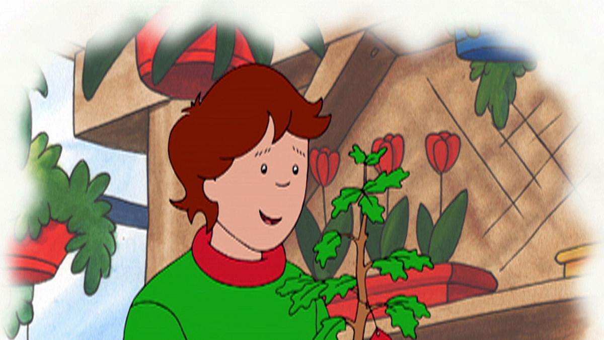 caillou