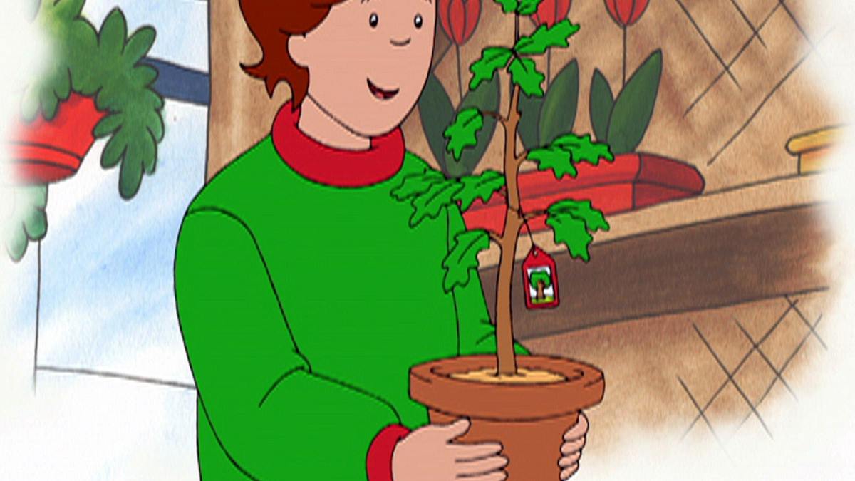 caillou
