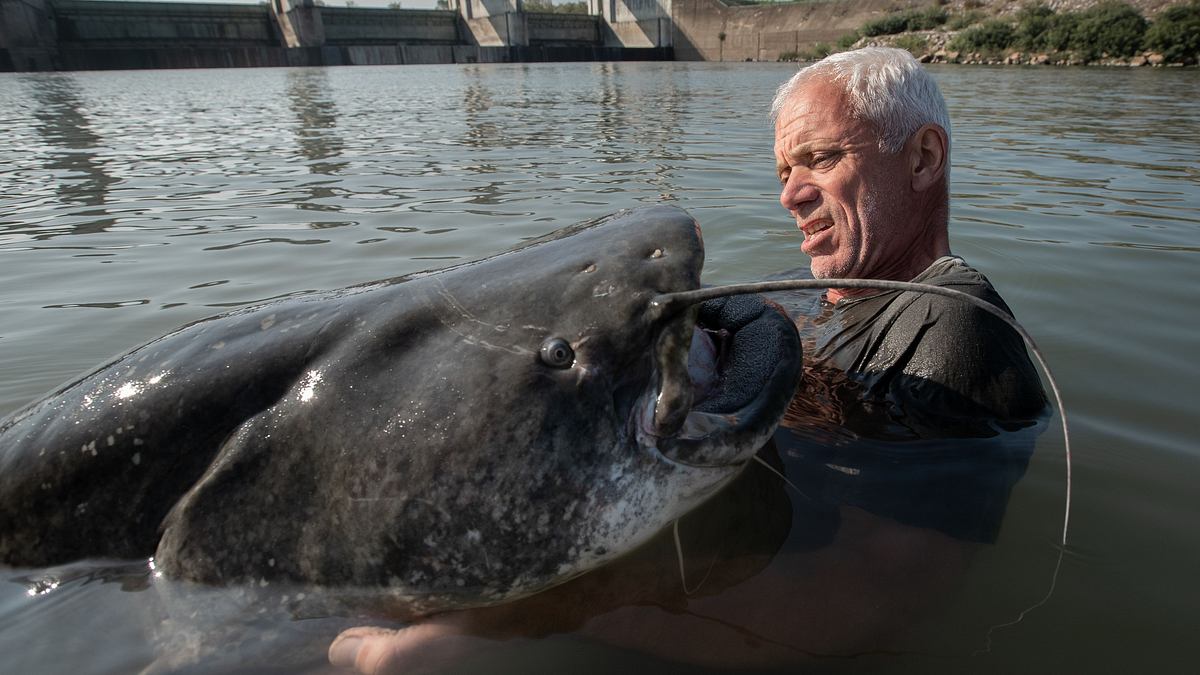 dark waters mit jeremy wade