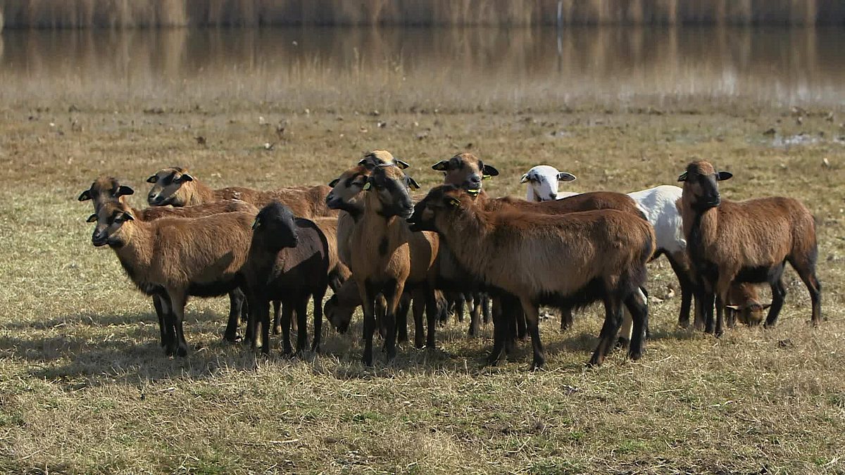 reisezeit - zurück zur natur