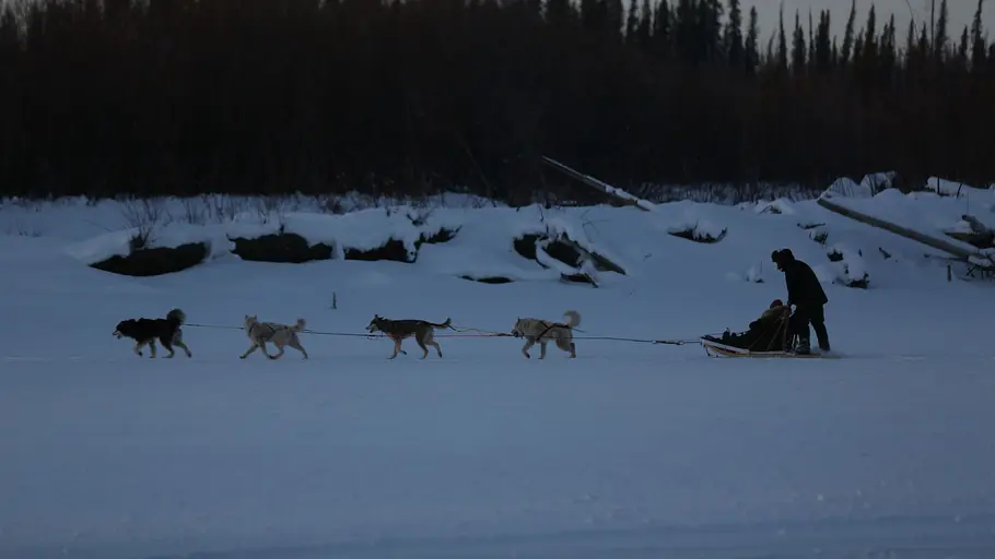 Nordalaska - Überleben am Polarkreis nordalaska - überleben am polarkreis