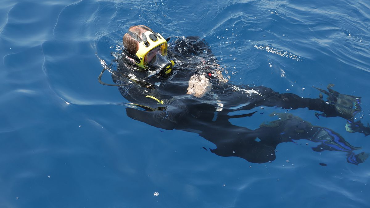 expedition ins unbekannte