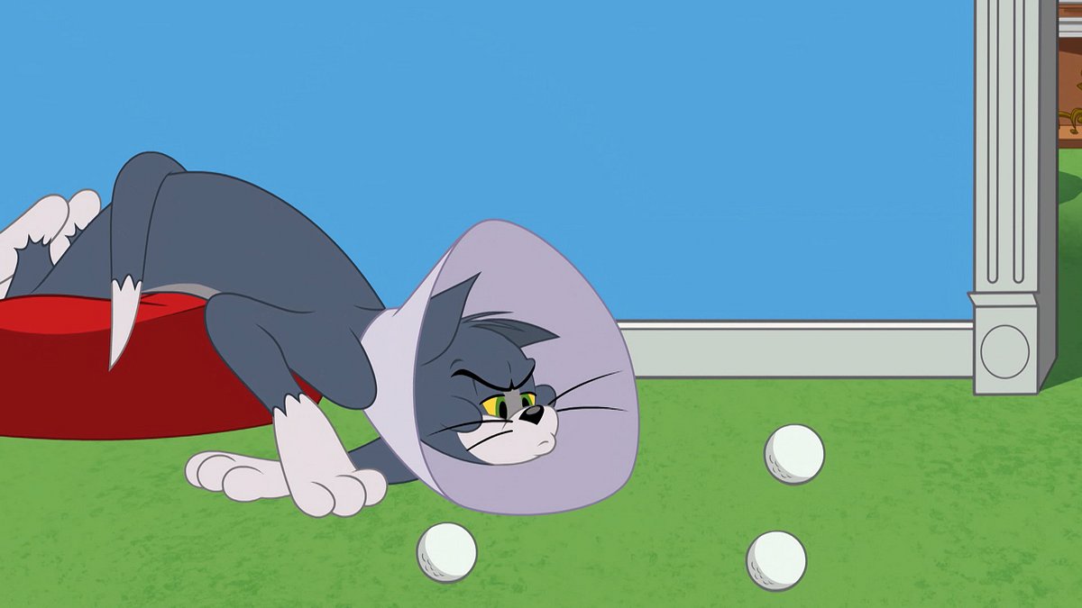 die tom und jerry show