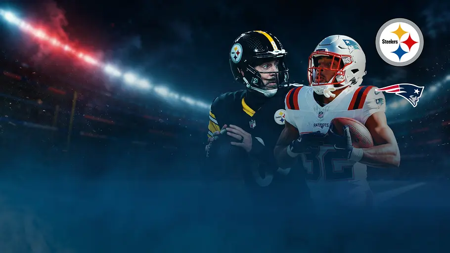 American Football: NFL american football: nfl