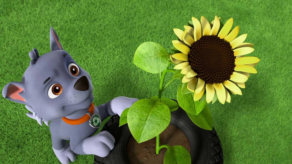 paw patrol - helfer auf vier pfoten