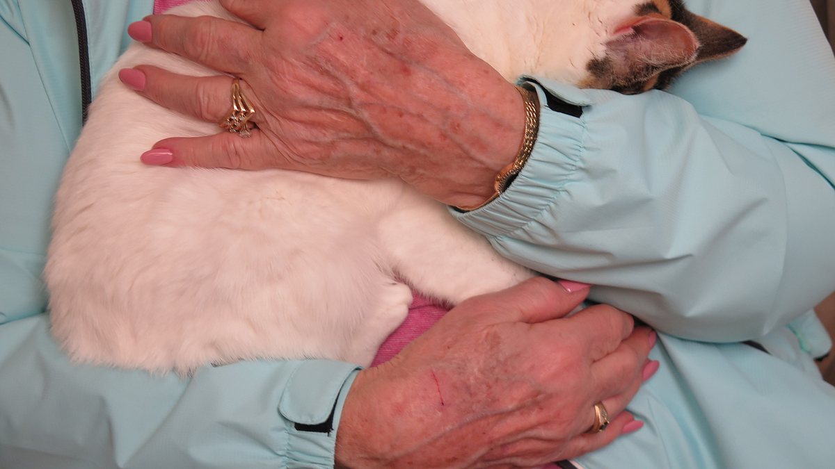 der unglaubliche dr. pol