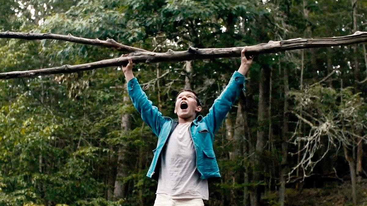 verloren in der wildnis