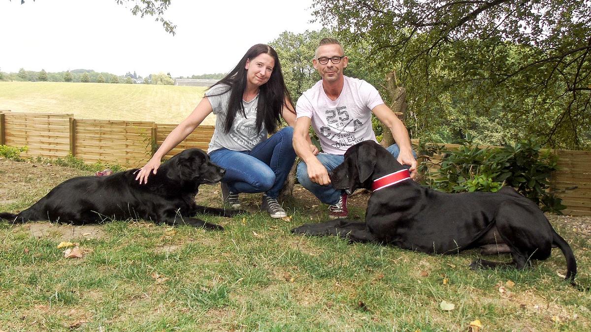 der hundeprofi