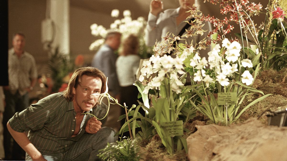 adaption - der orchideendieb
