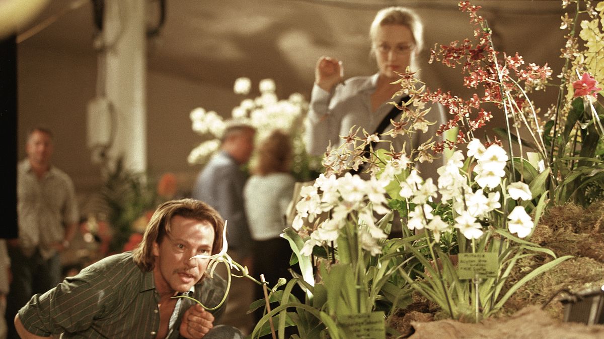 adaption - der orchideendieb