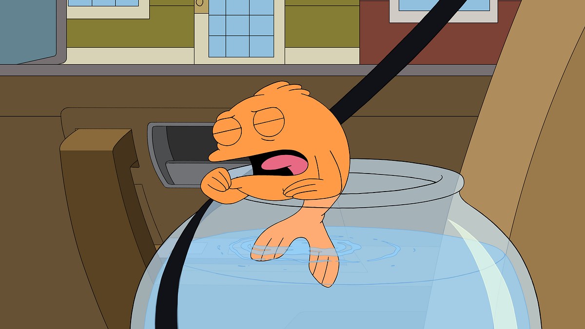 american dad!