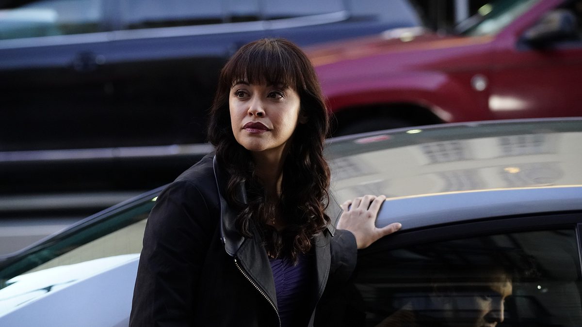 blue bloods - crime scene new york