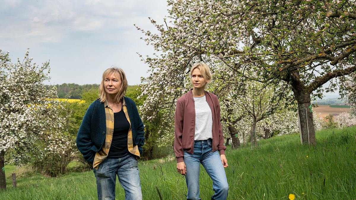 unterm apfelbaum - einsturzgefährdet