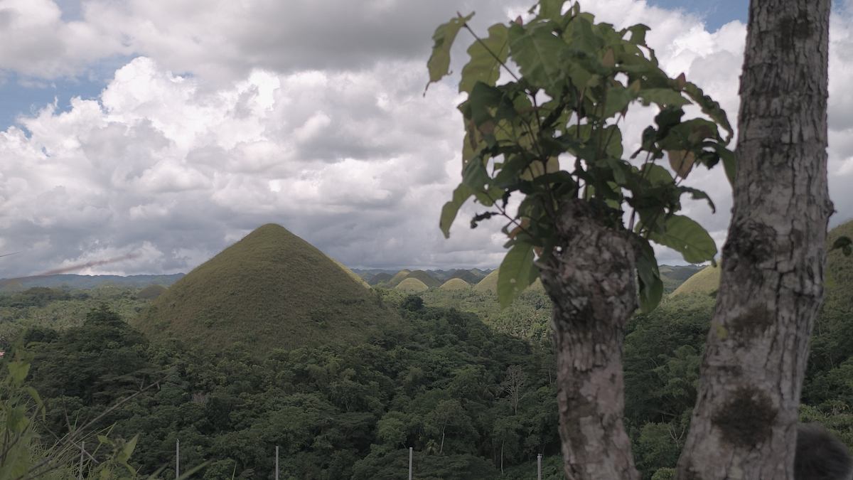 wilde philippinen