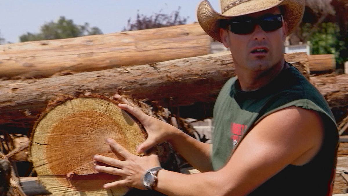 redwood kings - träume aus holz