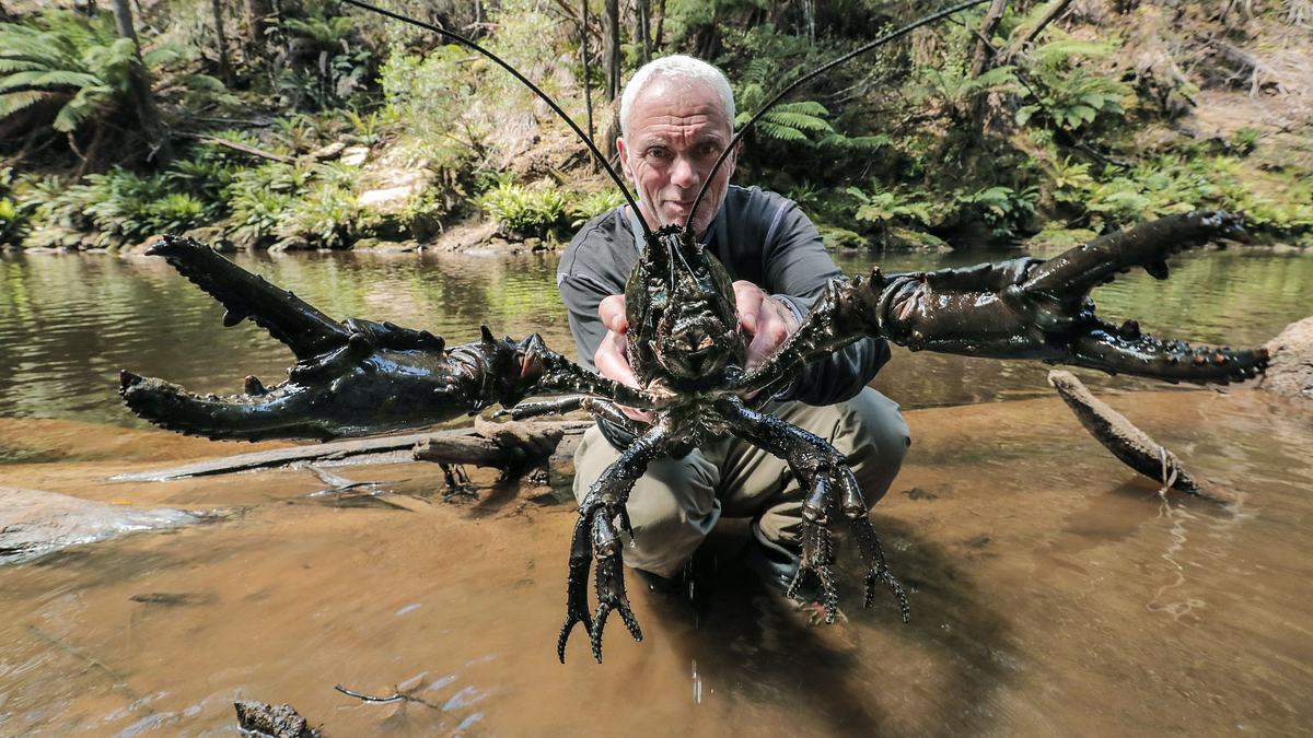dark waters mit jeremy wade