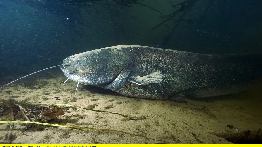 An den Ufern der Lippe an den ufern der lippe