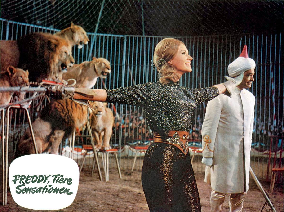 freddy, tiere, sensationen