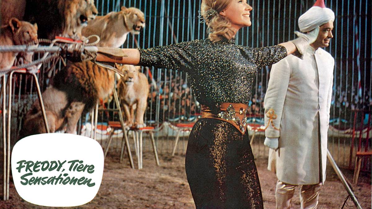 freddy, tiere, sensationen