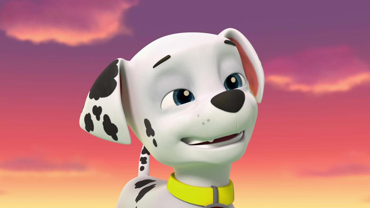paw patrol - helfer auf vier pfoten