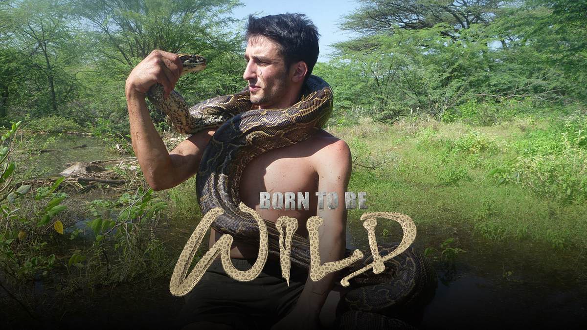 andrew ucles - born to be wild