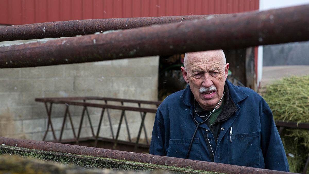 der unglaubliche dr. pol