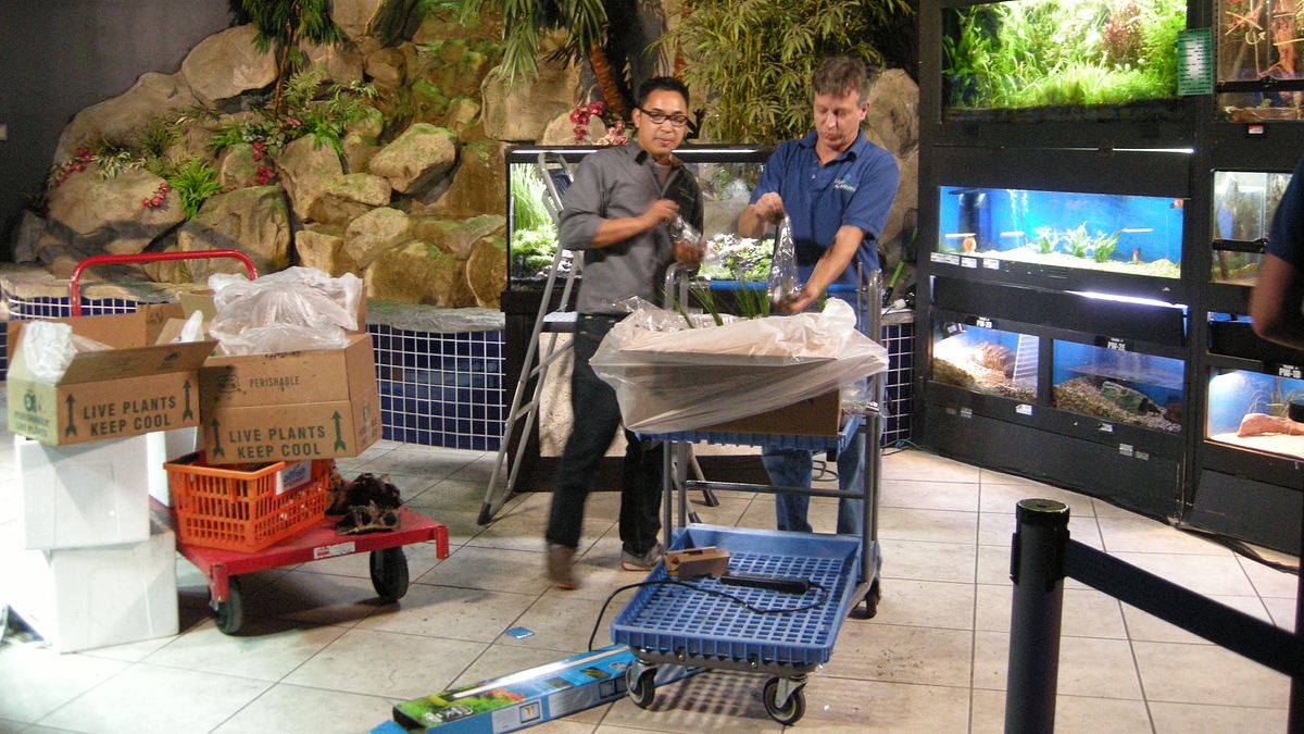 fish tank kings - gigantische wasserwelten