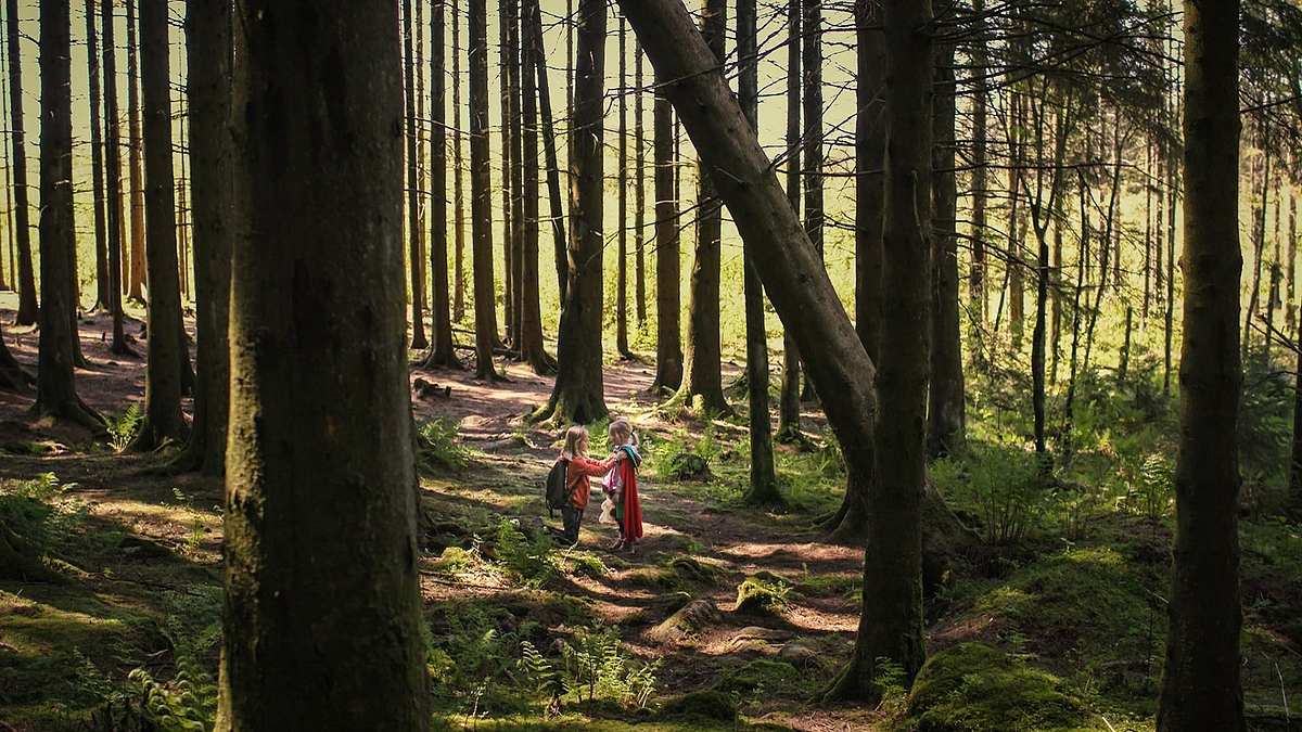 Tottori! - Kopfüber ins Abenteuer Tottori! - Kopfüber ins Abenteuer