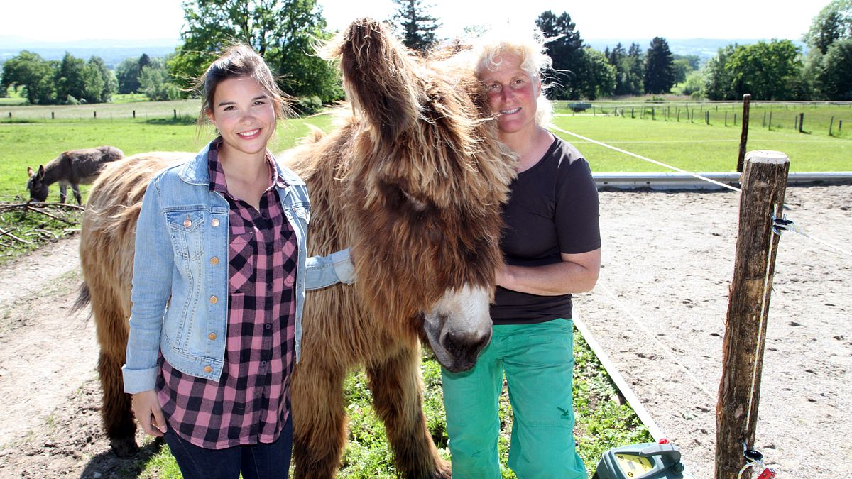 anna und die haustiere