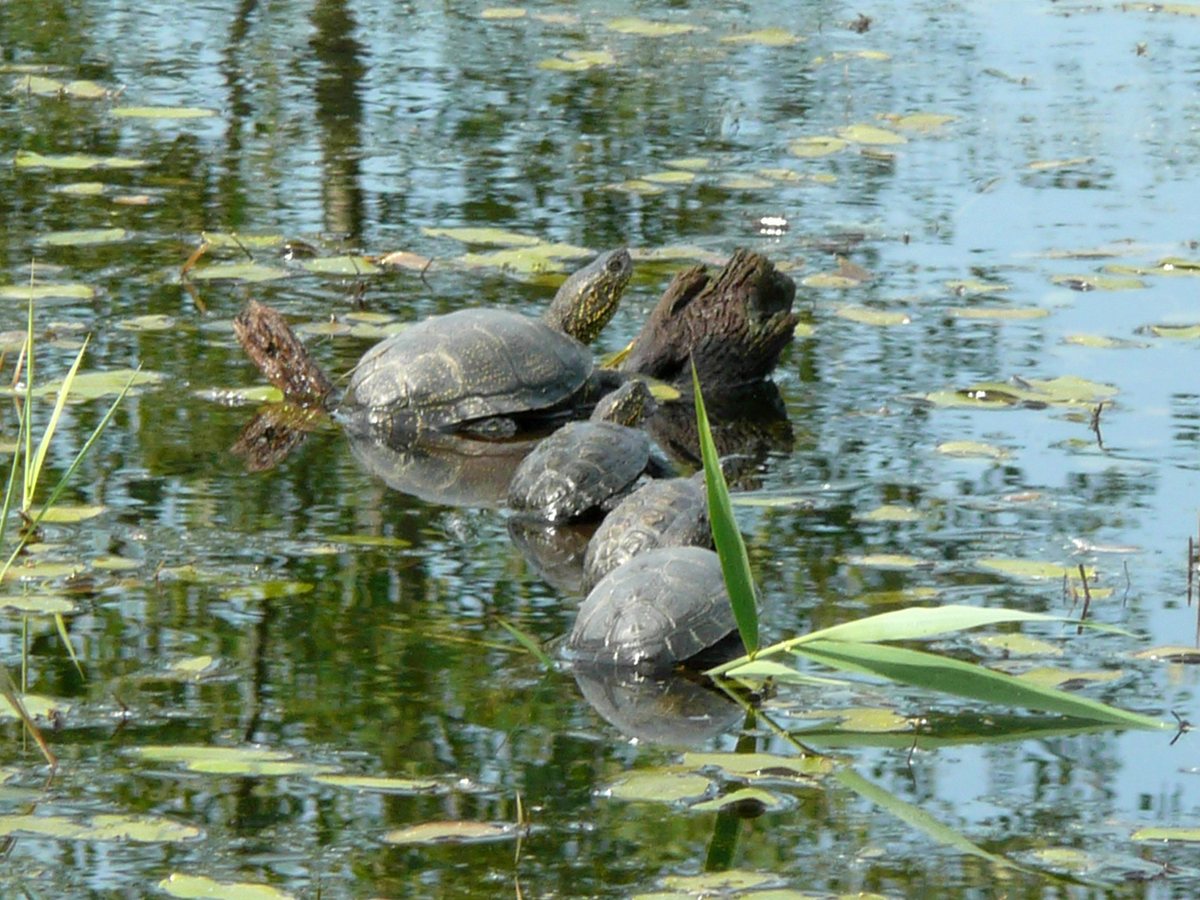 Naturerlebnis Franken naturerlebnis franken