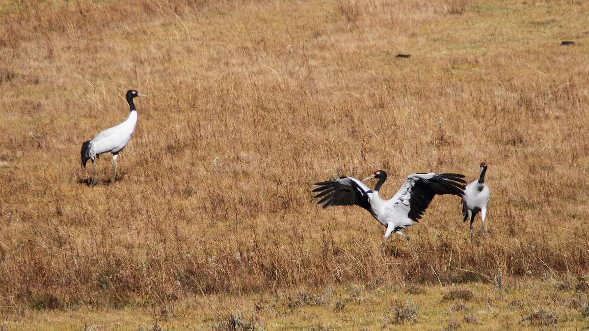 abenteuer wildnis